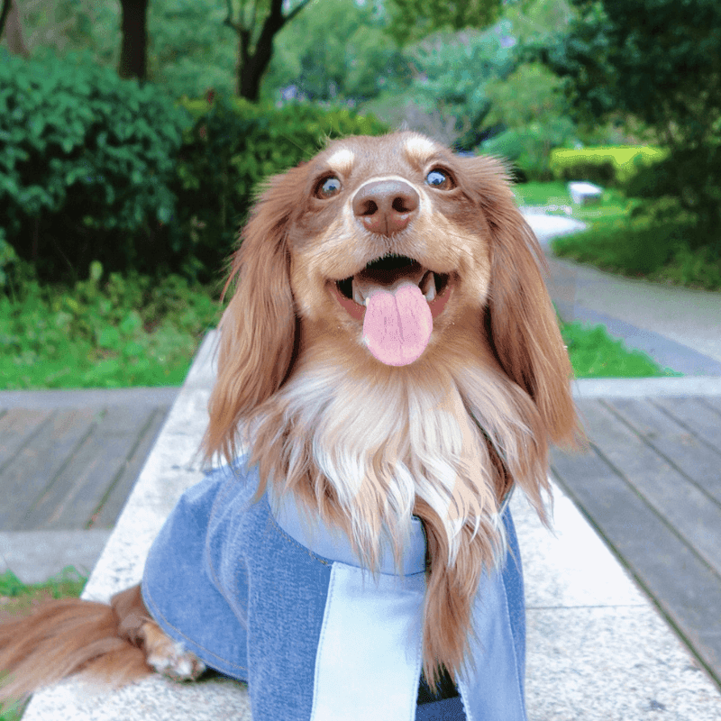 Stylish Redux Linen Denim Jacket for Women - Lightweight Summer Casual Outerwear - Perfect for Beach Outings, Weekend Brunch & Street Style Fashion