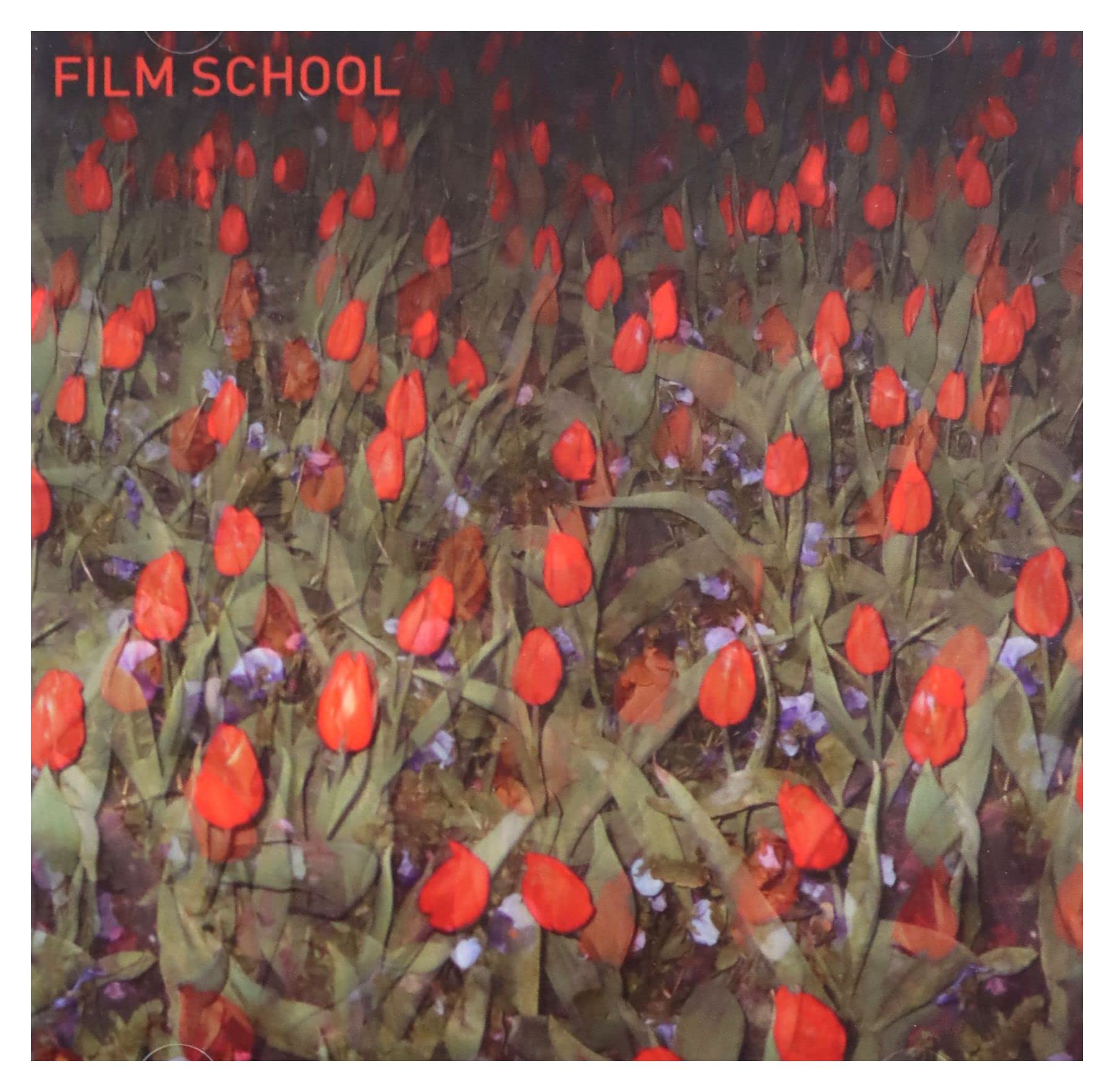Best Online Film School Courses - Learn Filmmaking, Cinematography & Video Editing | Perfect for Aspiring Directors & Content Creators