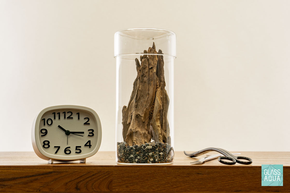 Miniature Terrarium Kit for Home Decor - DIY Glass Terrarium with Succulents & Air Plants - Perfect for Office Desk, Gift Idea, and Indoor Gardening Enthusiasts