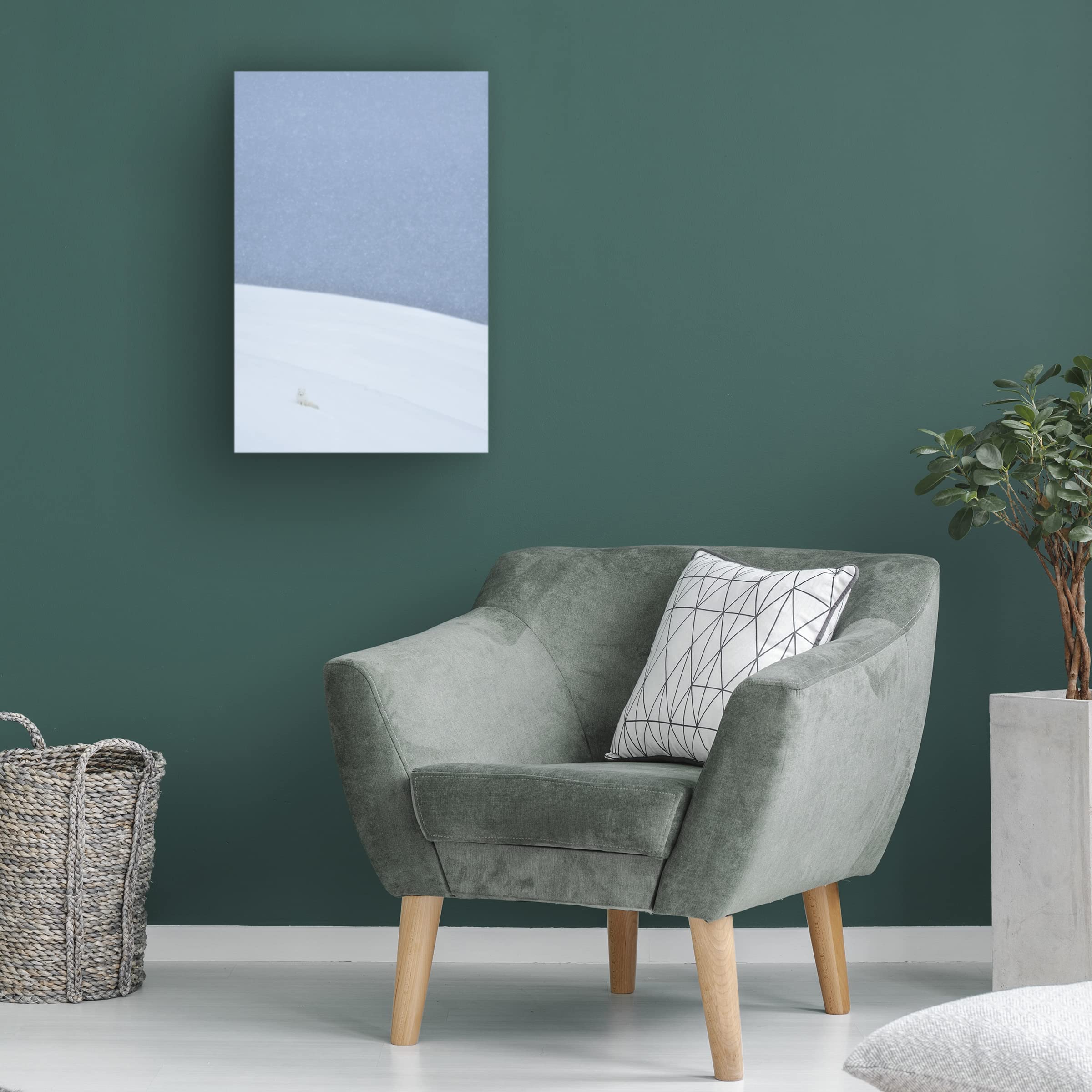 Trademark Fine Art 'Snowy Arctic Fox In Svalbard' Canvas Wall Art by Yves Adams - Stunning Wildlife Home Decor for Living Room, Bedroom & Office