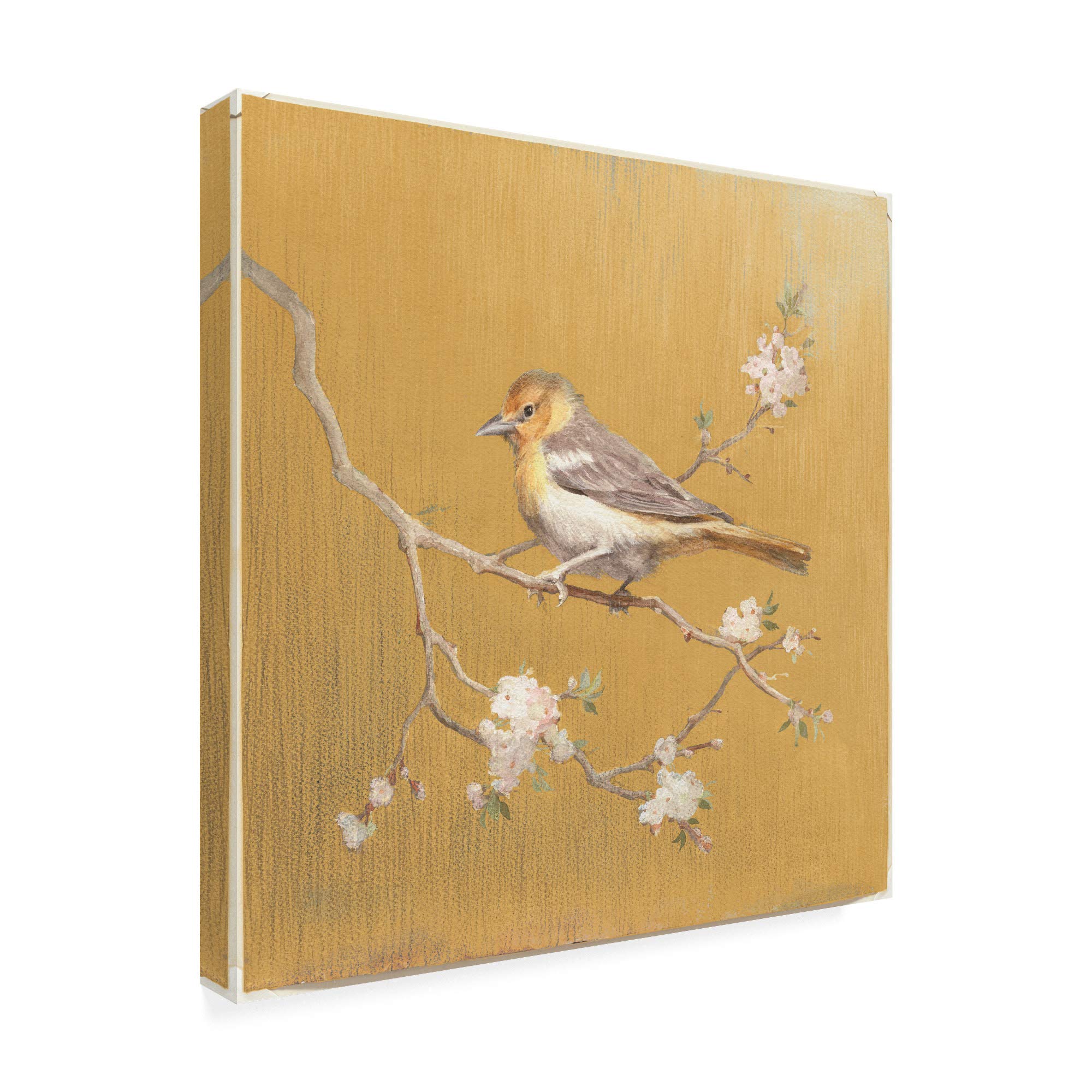 Danhui NAI Northern Oriole on Gold 18x18 Fine Art Print - Premium Wall Decor for Living Room, Bedroom & Office