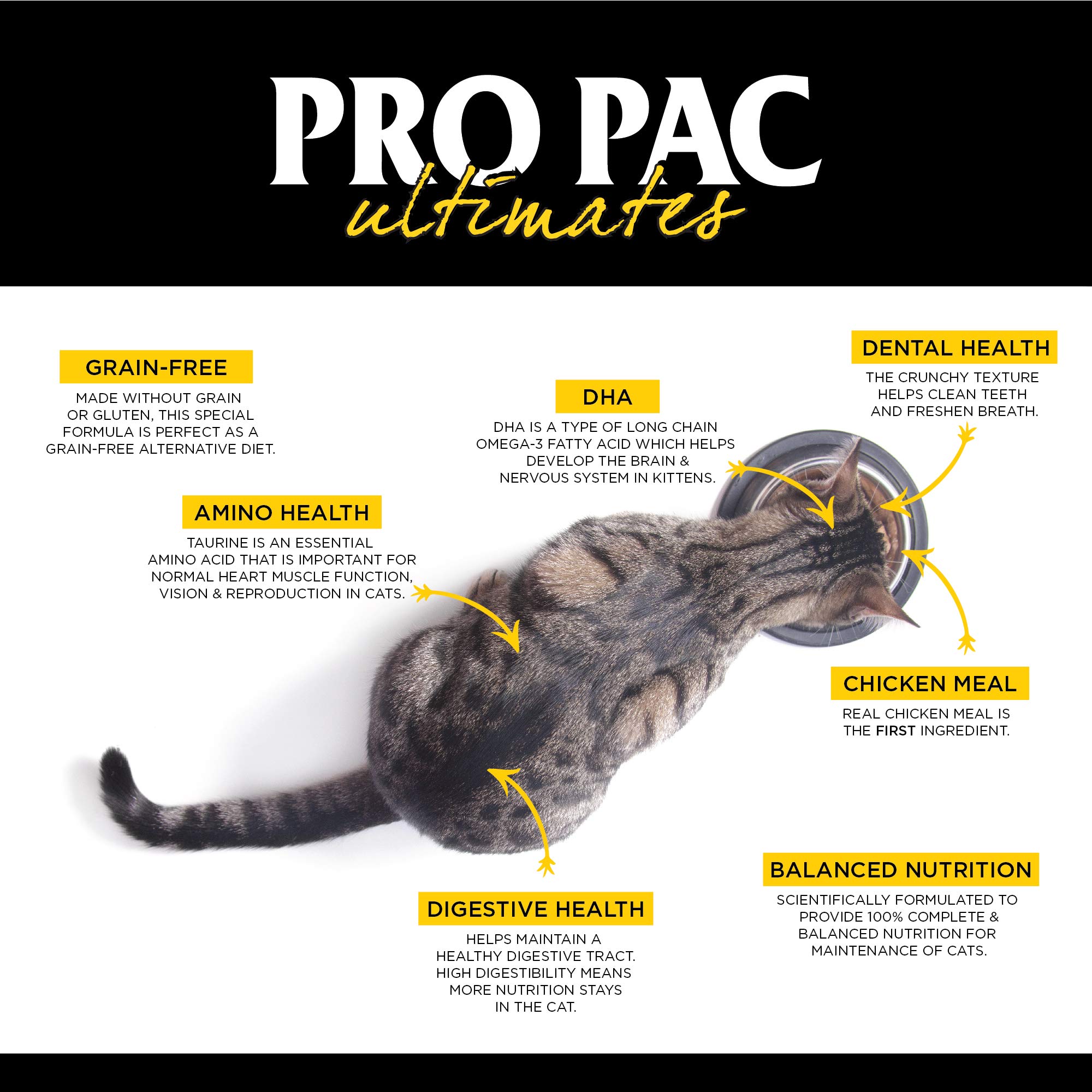 PRO PAC Ultimates Savanna Pride Chicken Grain-Free Indoor Dry Cat Food 14 lb - High Protein, Natural Ingredients for Healthy Adult Cats - Perfect for Indoor Cats with Sensitive Stomachs