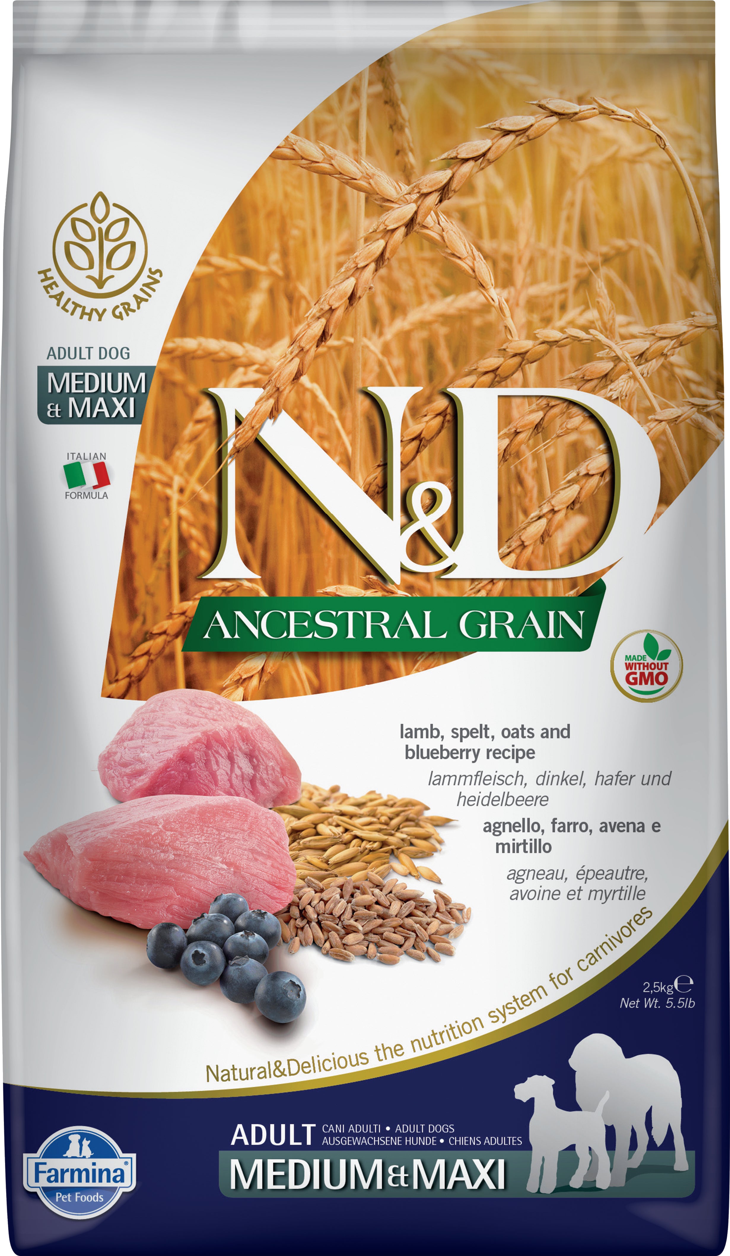 Farmina N&D Ancestral Grain Dry Dog Food - Lamb & Blueberry Recipe for Medium & Large Breeds - Premium Natural Nutrition for Active Dogs - Perfect for Daily Meals & Training Rewards