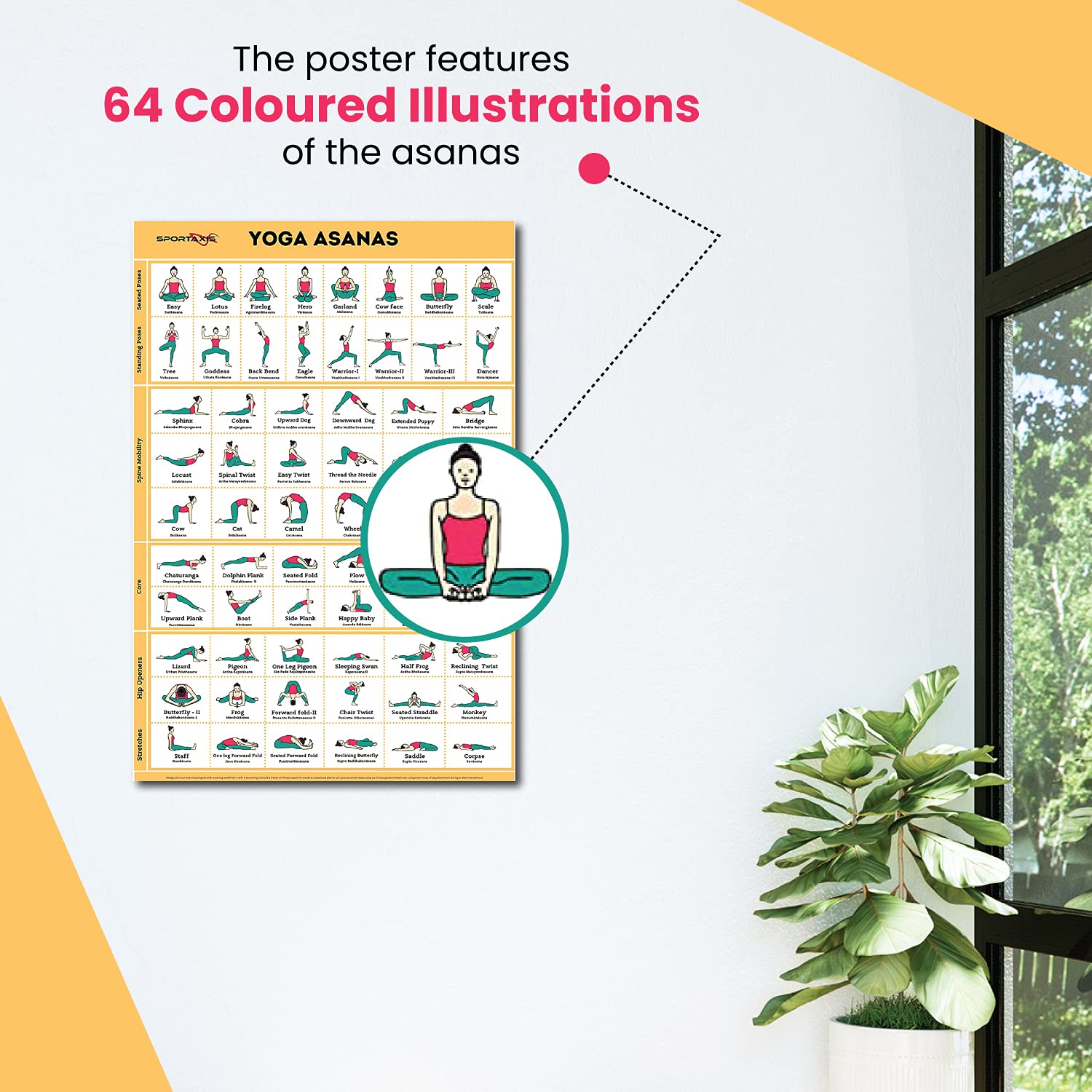 SPORTAXIS Yoga Poster - 64 Asanas for Home Workout & Fitness