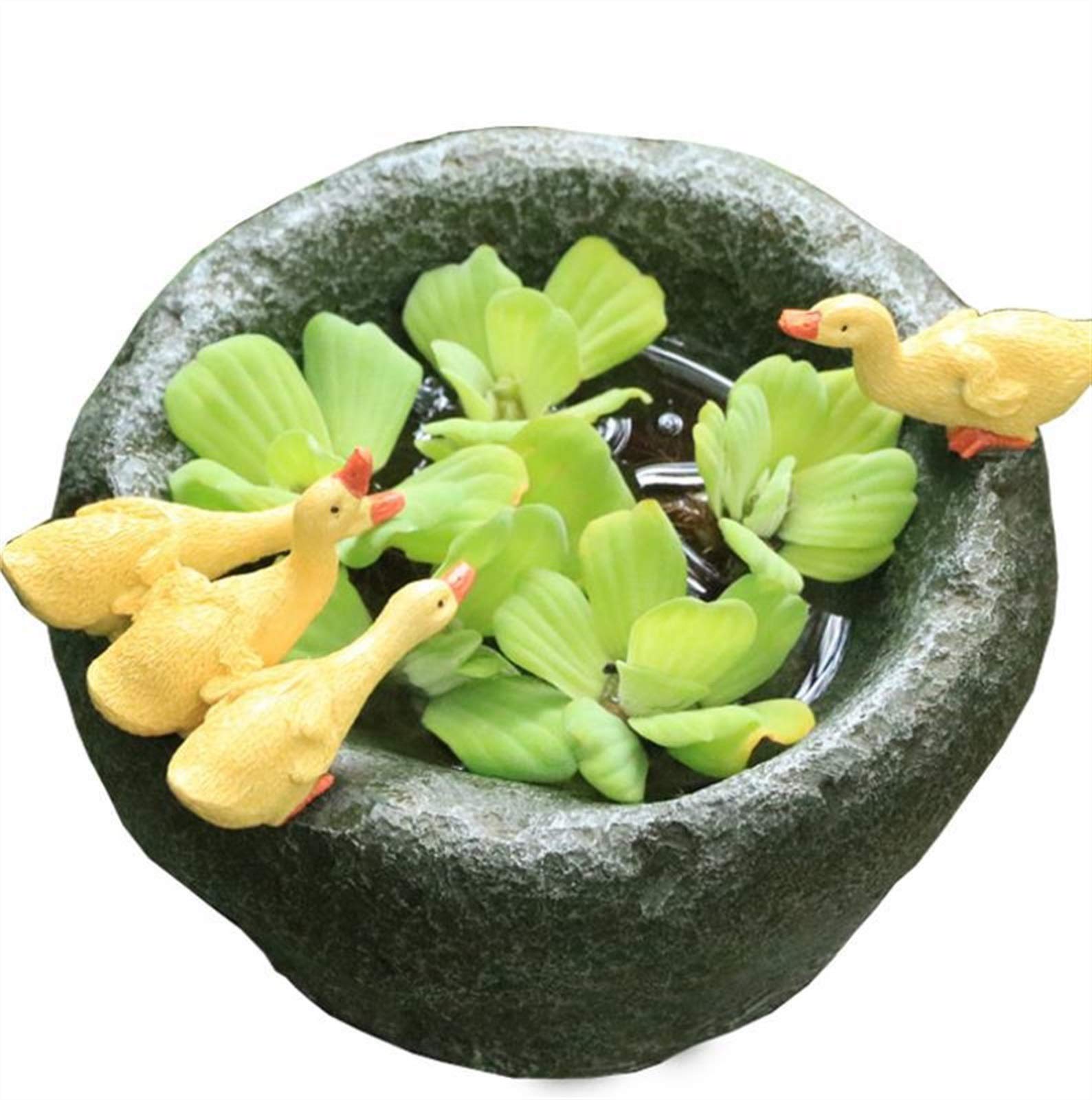 Stone-Look Resin Flower Pots for Succulents - Desktop & Garden Decoration | Indoor/Outdoor Planters for Home, Office, Balcony Gardening