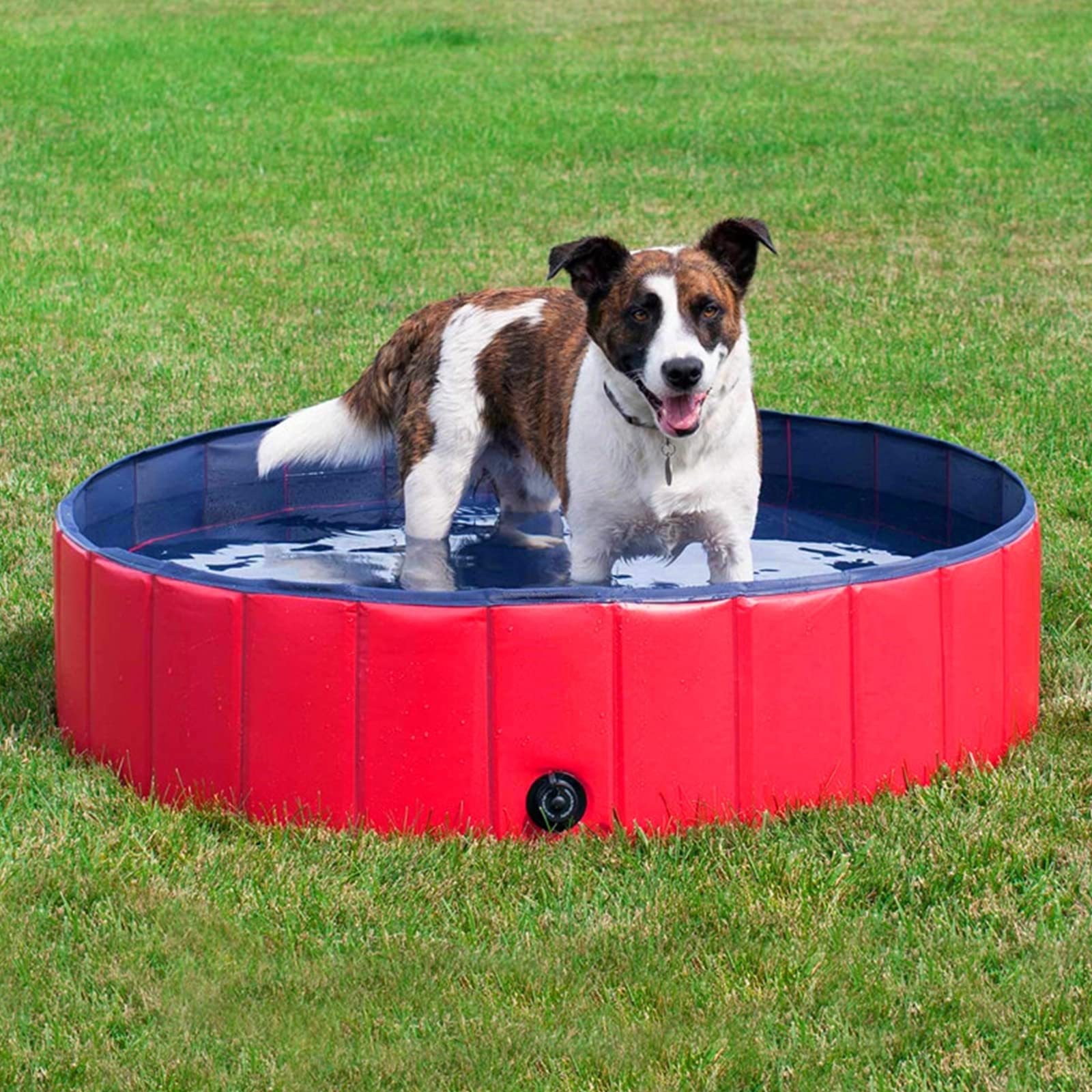 Foldable Dog Swimming Pool - Portable PVC Pet Bathing Tub for Dogs & Cats, Non-Slip Puppy Pool for Indoor & Outdoor Use - Great for Backyard Play, Summer Cooling, and Pet Bath Time