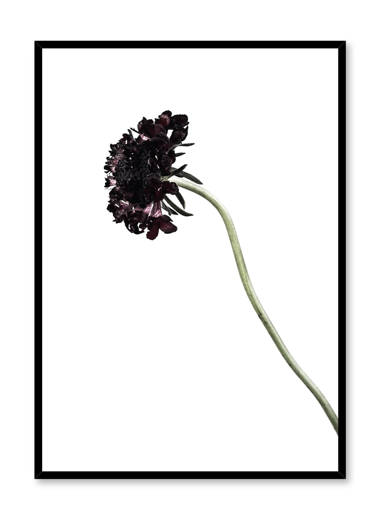 Black Knight Movie Poster - High Quality Print for Home Theater, Bedroom, and Office Decor - Perfect for Fans and Collectors