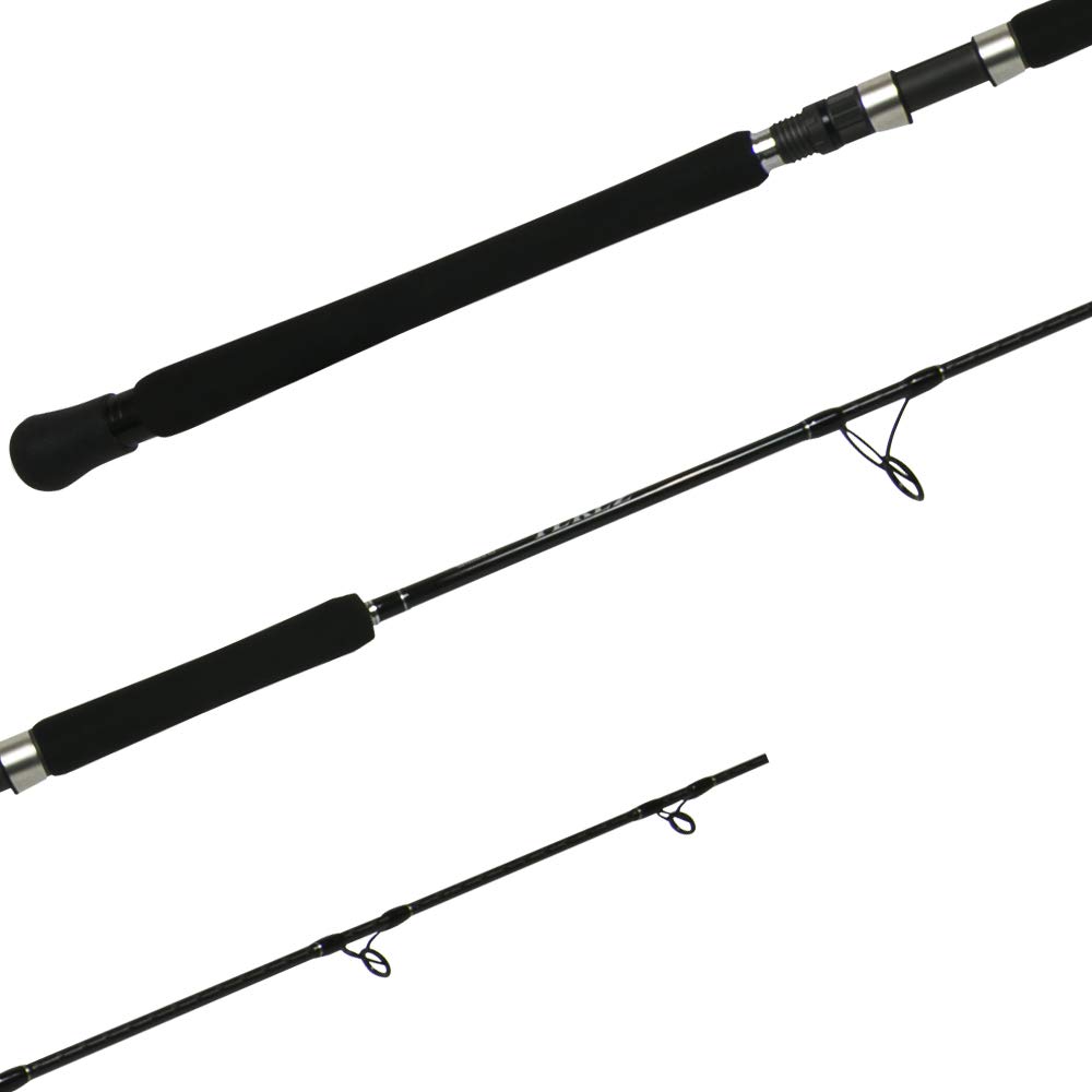 Shimano Terez Saltwater Casting Fishing Rod 6'6