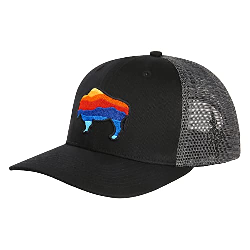 Badlands Bison