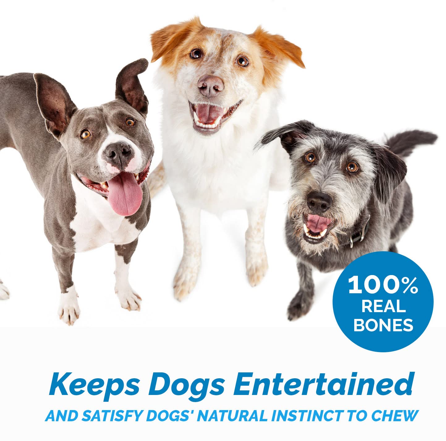 Premium Beef Knee Caps for Dogs – 3 Count, All-Natural Grass-Fed Knee Bone Treats | High-Protein, Easily Digestible Dog Chews | Perfect for Training Rewards, Dental Health & Long-Lasting Chewing Fun