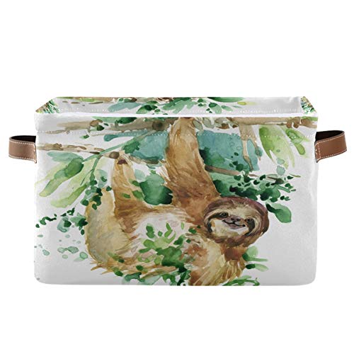 Funny Sloth