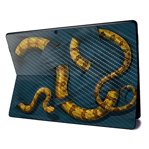 Boa Constrictor
