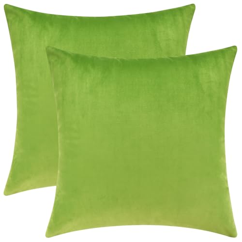 Chartreuse