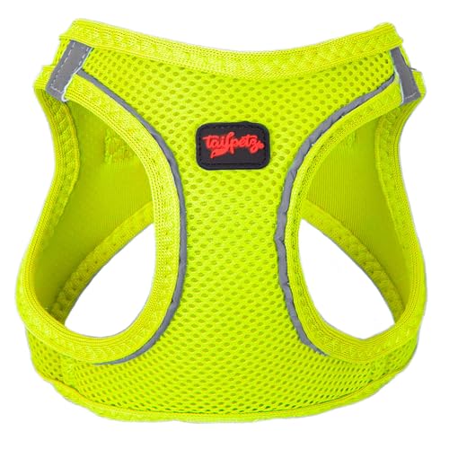 Neon Lime