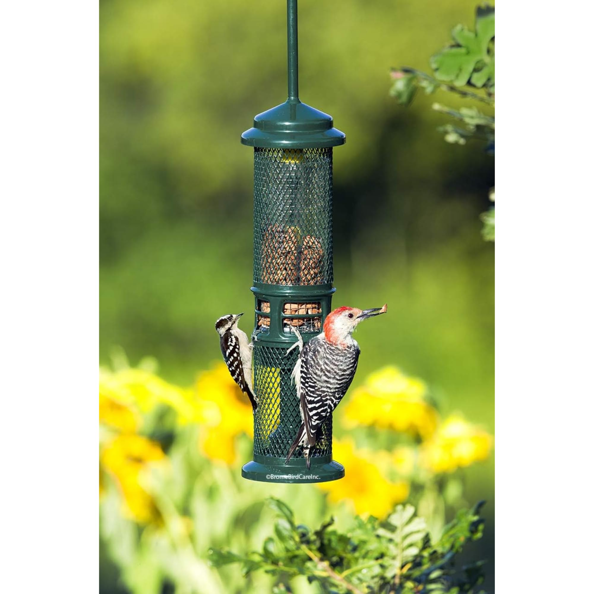 Squirrel Proof Bird Feeder - Squirrel Buster Nut Feeder for Wild Birds, Holds Nuts & Fruits, Dual Mesh Design - Perfect for Backyard, Garden & Outdoor Bird Watching