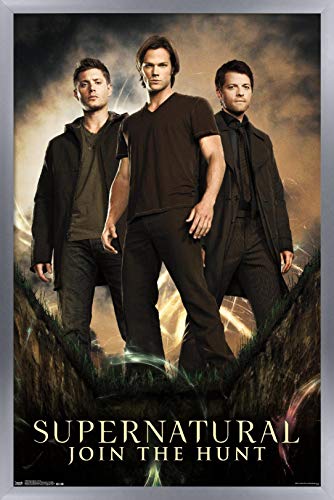 Silver Framed Version