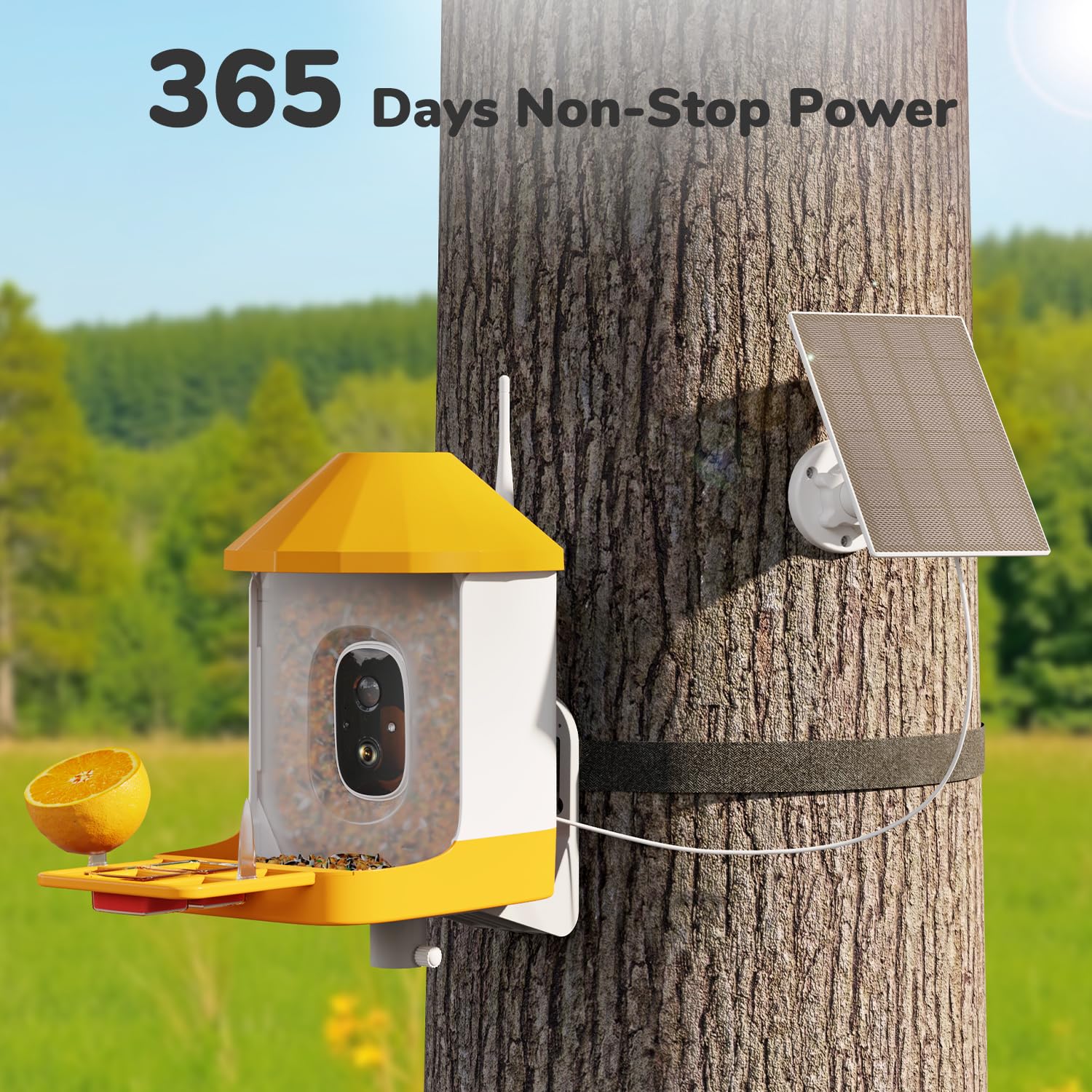 Dzees Smart Bird Feeder with Camera - Solar Powered AI Bird Identification, 32GB Storage, HD Video Capture & Instant Alerts | Perfect for Backyard Bird Watching, Nature Lovers & Unique Family Gifts