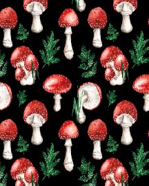 Watercolor Red Mushroom
