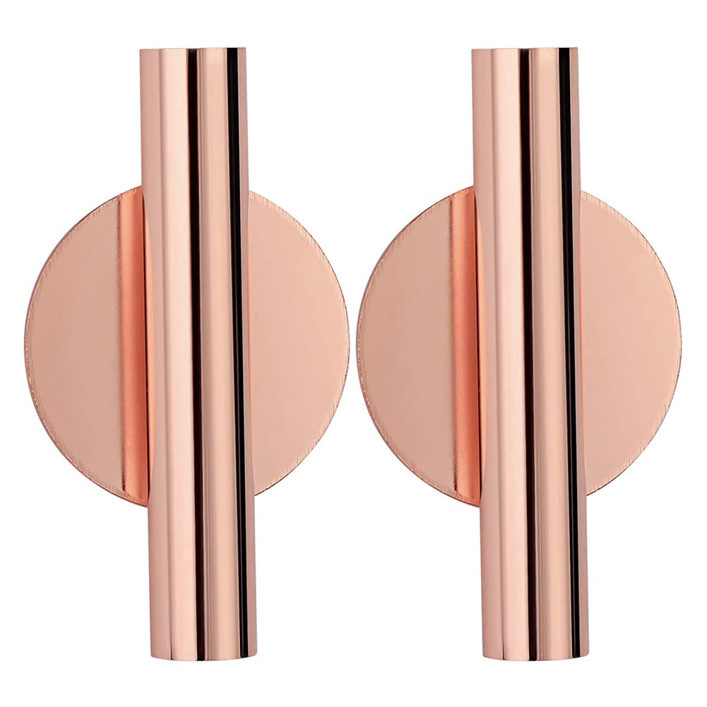 Modern Rose Gold Wall Hanging Planter Propagation Station - 2PCS Wall Mounted Tube Vase for Flowers, Buds & Dried Plants - Elegant Home & Garden Decor for Living Room, Bedroom, Balcony or Wedding Decorations