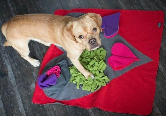 Interactive Dog Sniff & Search Puzzle Game - Heart-Shaped Scent Pad for Nosework Training | Fun Mental Stimulation for Dogs at Home or Outdoor Play