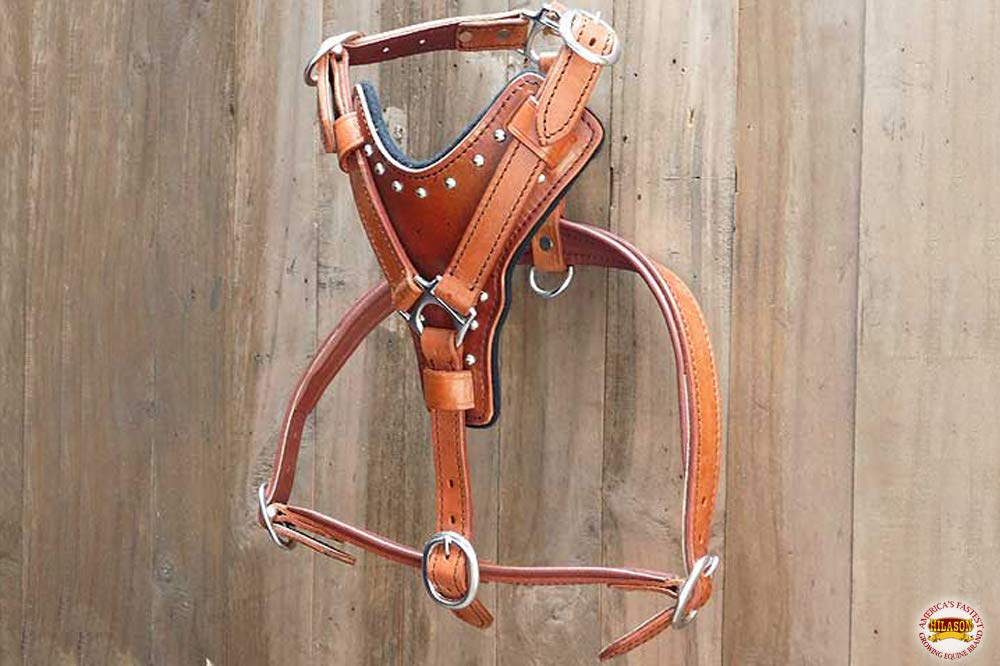 HILASON Mahogany X Small Leather Dog Harness with Leash - Adjustable Padded Vest for Small Dogs, Puppy Walking Harness with Matching Leash for Training, Outdoor Adventures & Daily Walks