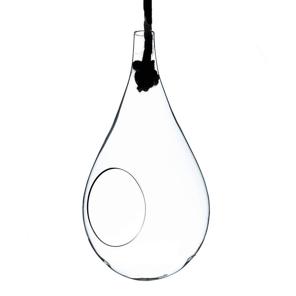 6 Inch Small Clear Glass Hanging Terrarium & Vase - Perfect for Air Plants, Succulents, and Home Decor