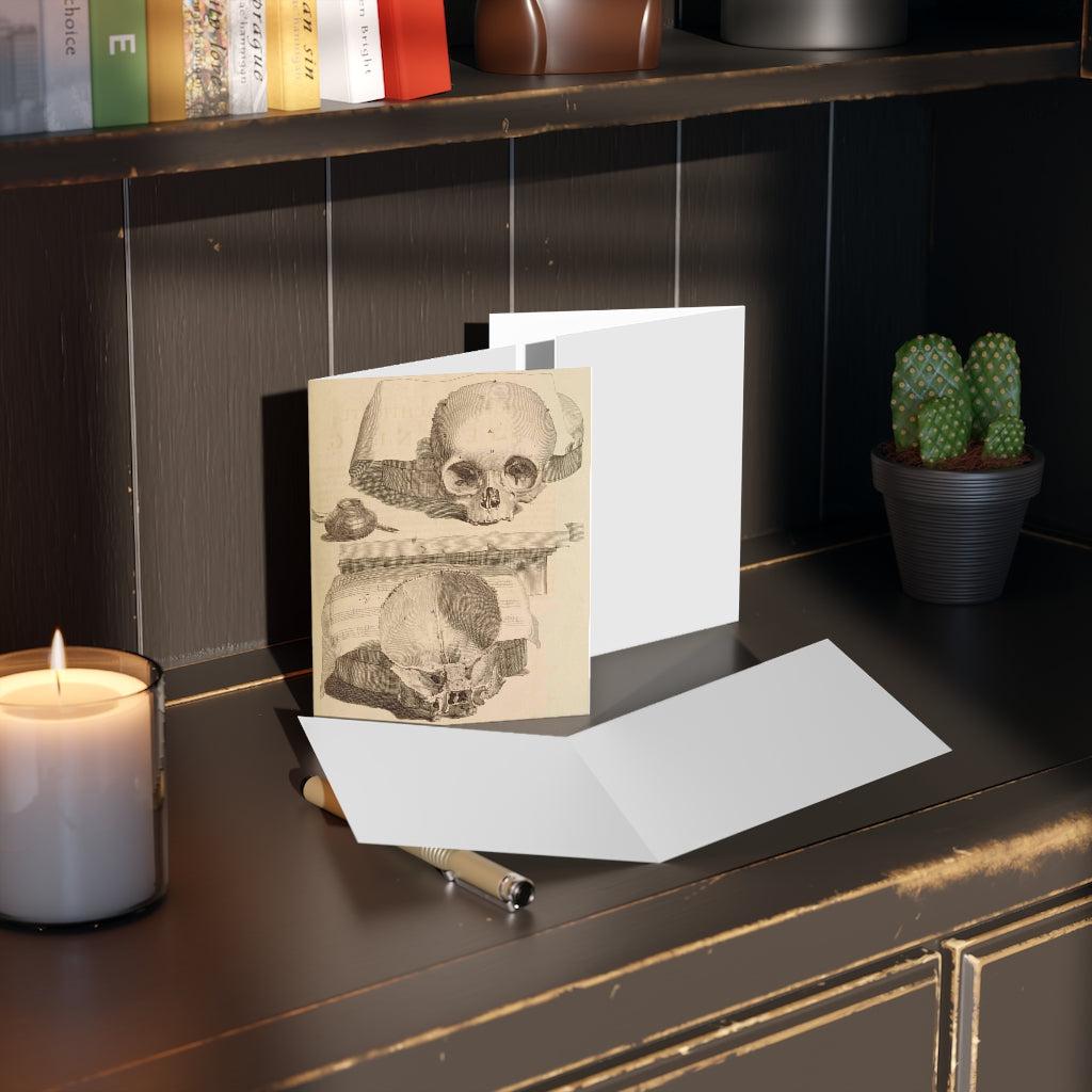 Bisected Human Skull Greeting Card Pack - 12 Unique Halloween Cards with Anatomical Design - Perfect for Halloween Parties, Medical Student Gifts & Dark Humor Enthusiasts