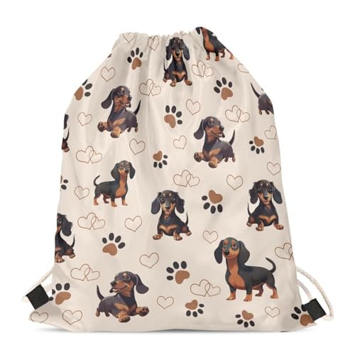 Cute Dachshund