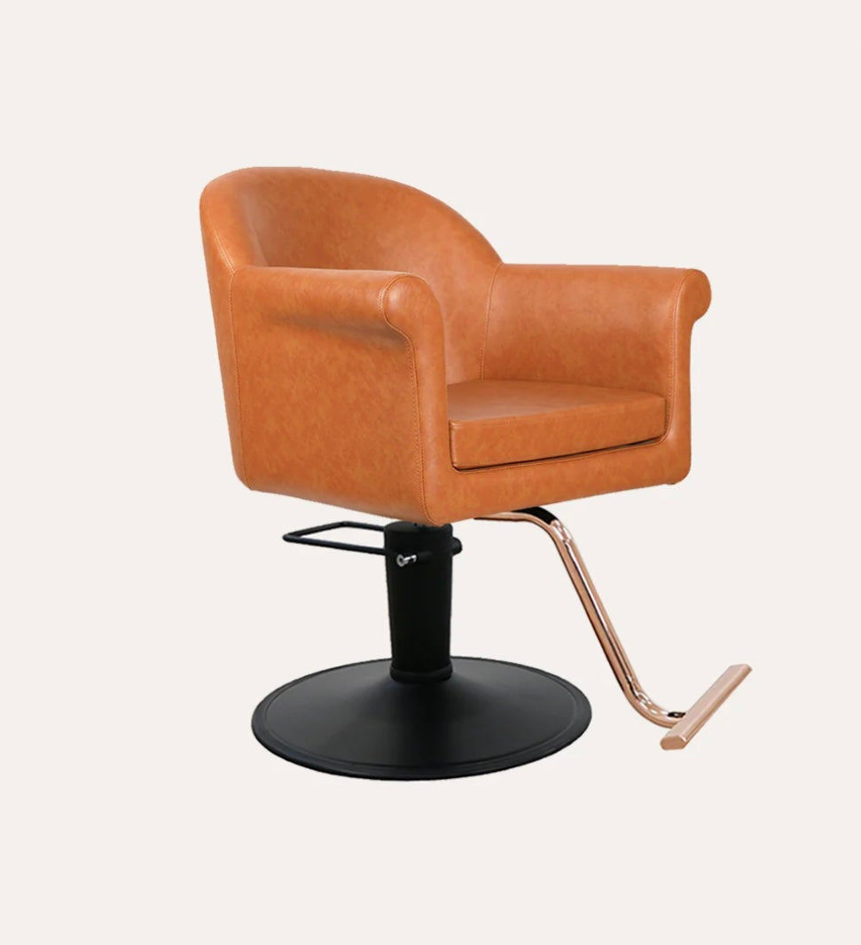 Premium Hudson Salon Chair - Professional Hydraulic Styling Chair for Hairdressers & Barbers - Heavy Duty Beauty Salon Furniture for Hair Cutting, Washing & Styling - Perfect for Salons, Barbershops & Home Use