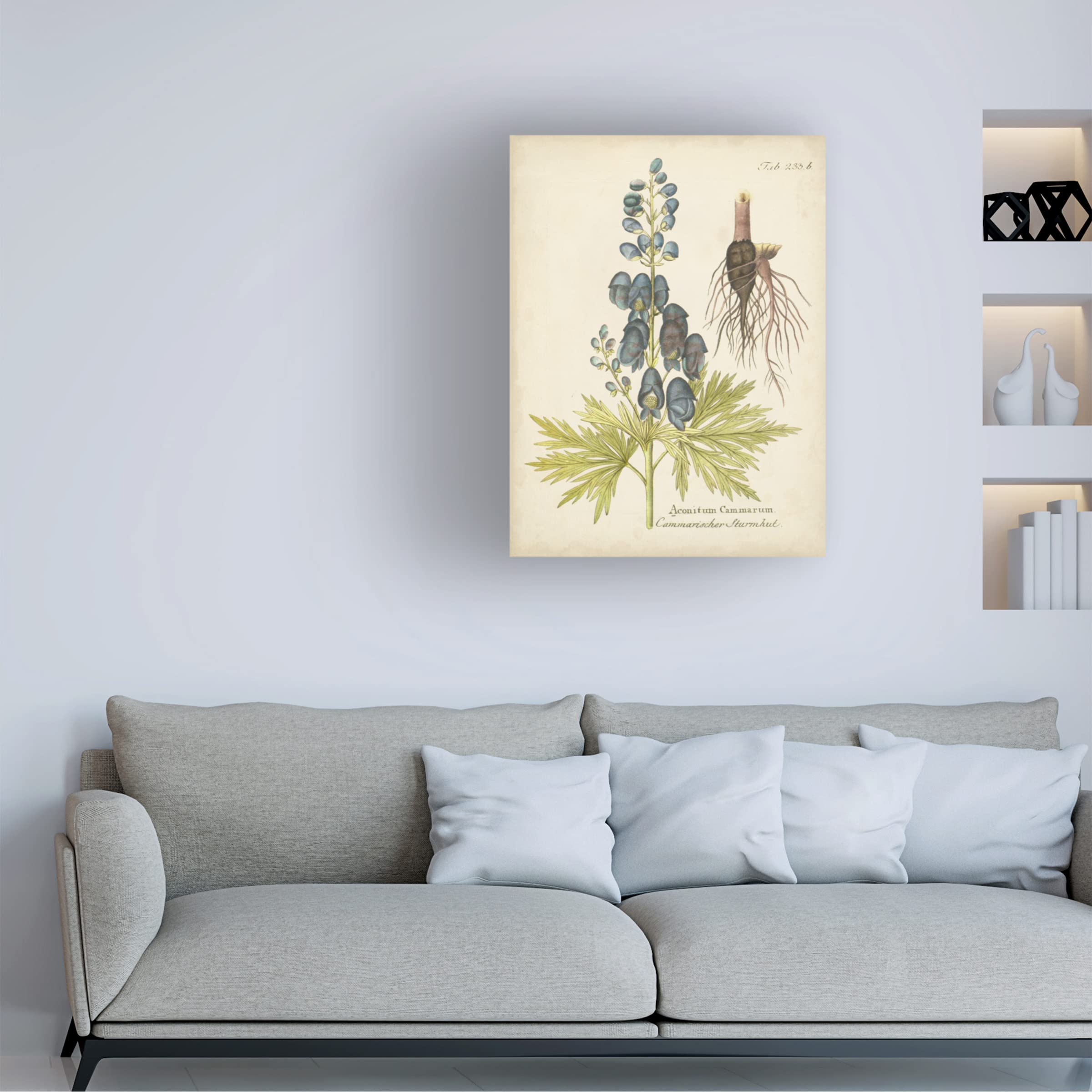 Trademark Fine Art 'Eloquent Botanical II' Canvas Wall Art by Vision Studio - Perfect for Living Room, Bedroom & Office Decor