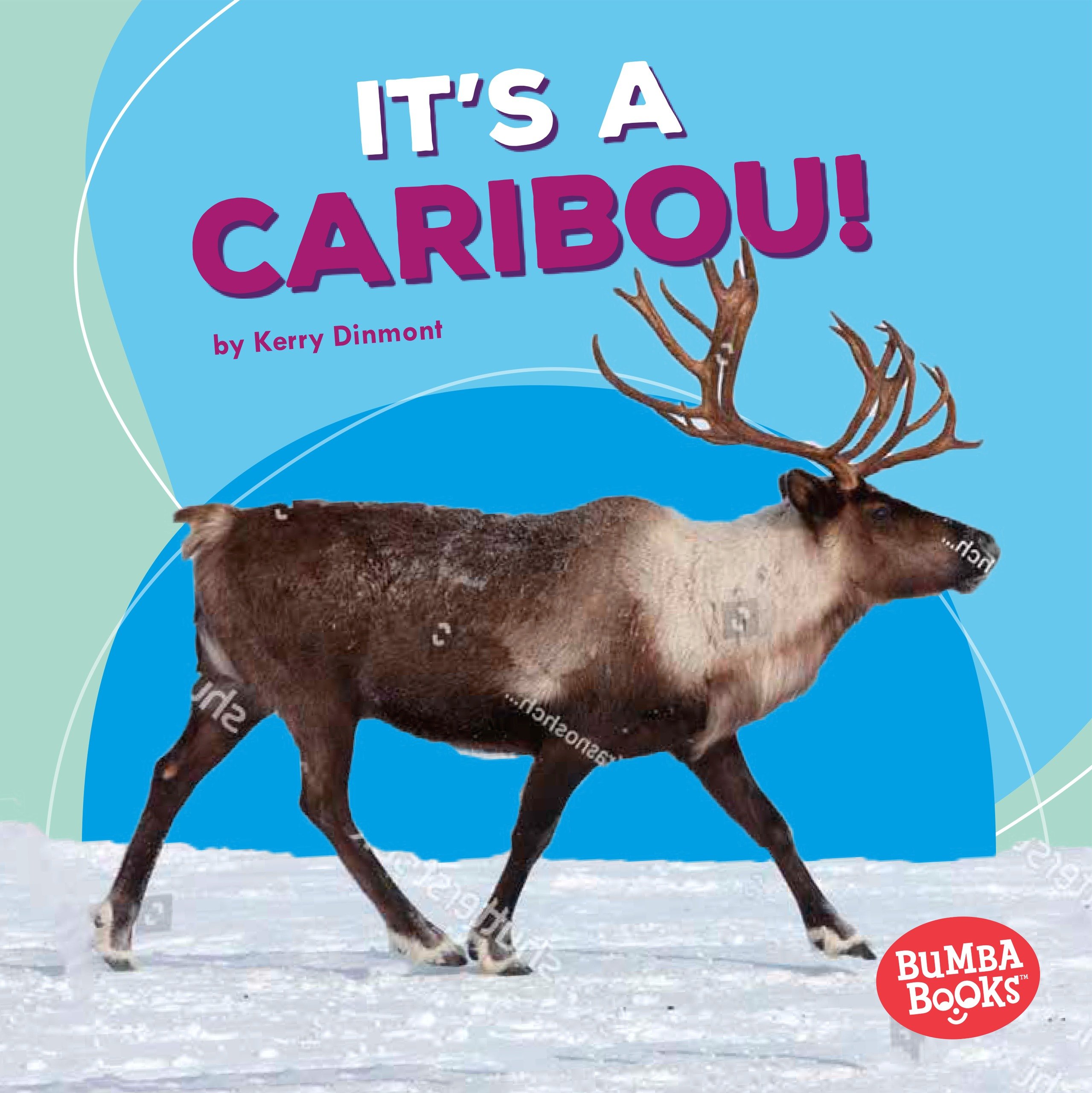 Caribou Book for Kids - Polar Animals Educational Story | Bumba Books ® - Perfect for Arctic Wildlife Learning & Classroom Reading
