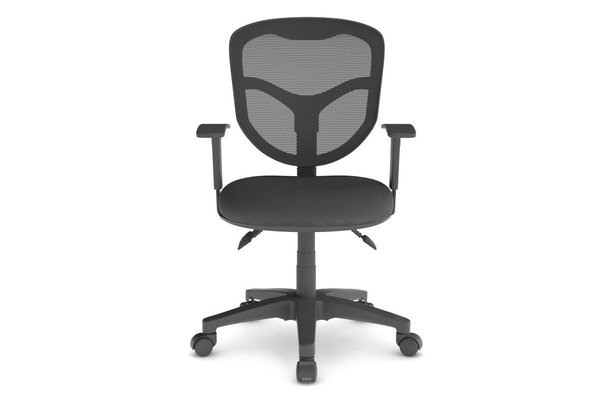 Plover Ergonomic Office Chair with Breathable Mesh Back - Adjustable Lumbar Support & Tilt Function for Home & Office Workspaces