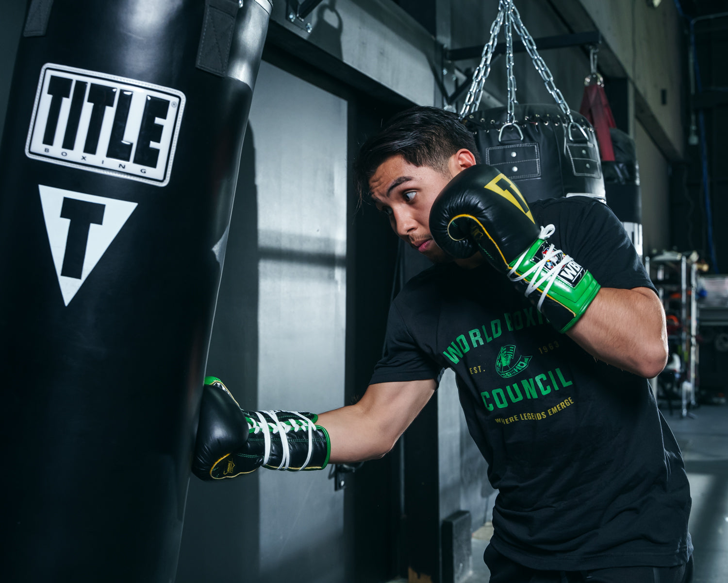 WBC by TITLE Boxing Sparring Gloves - Professional Training Gloves for Boxing, MMA & Kickboxing - Perfect for Gym Workouts & Martial Arts Training