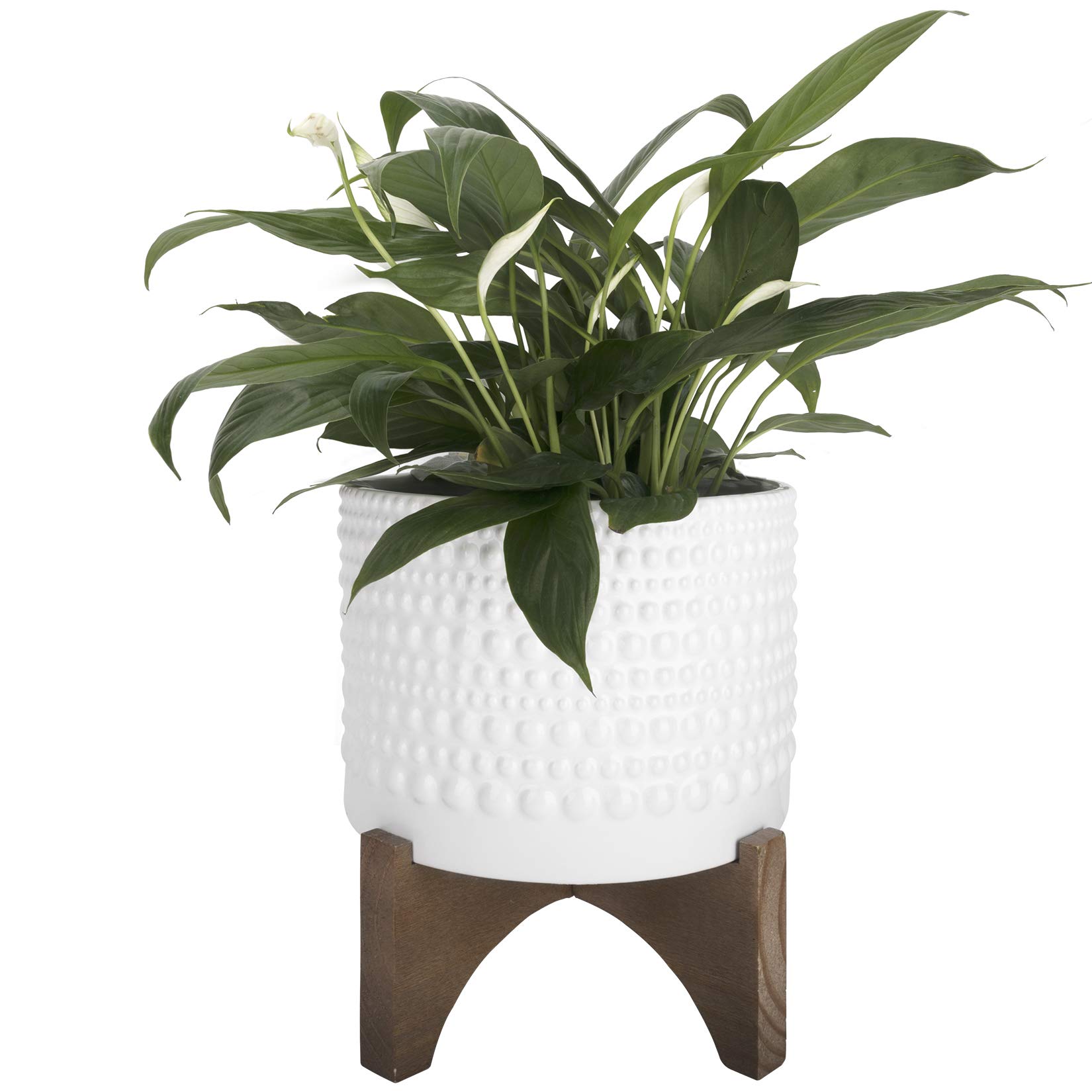 LA Jolie Muse 8 Inch White Ceramic Planter with Wood Stand - Cylinder Embossed Hobnail Pattern Flower Pot for Indoor Plants | Perfect for Home Decor, Office Desk, and Living Room Decorations