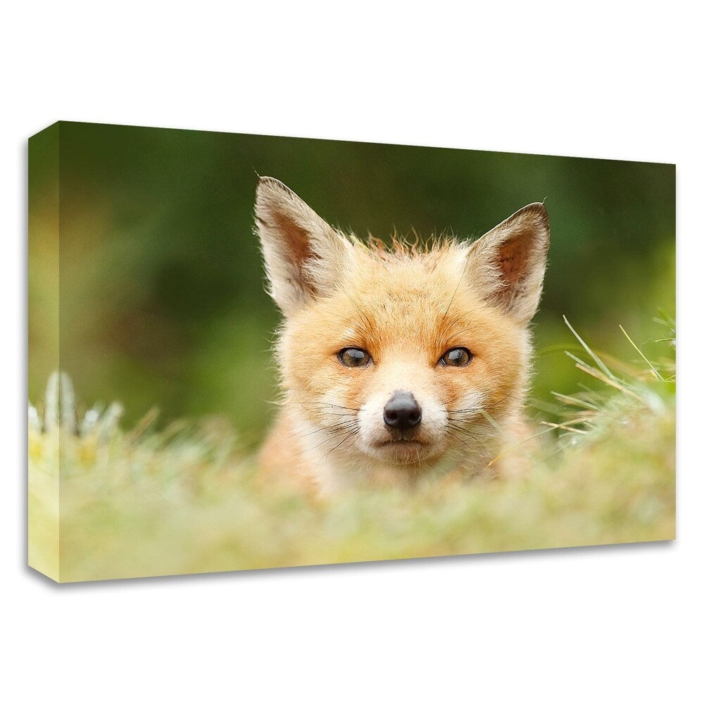 Bad Fur Day by Roeselien Raimond - Premium Canvas Wall Art Print - Ready to Hang - Perfect for Living Room, Bedroom & Office Decor