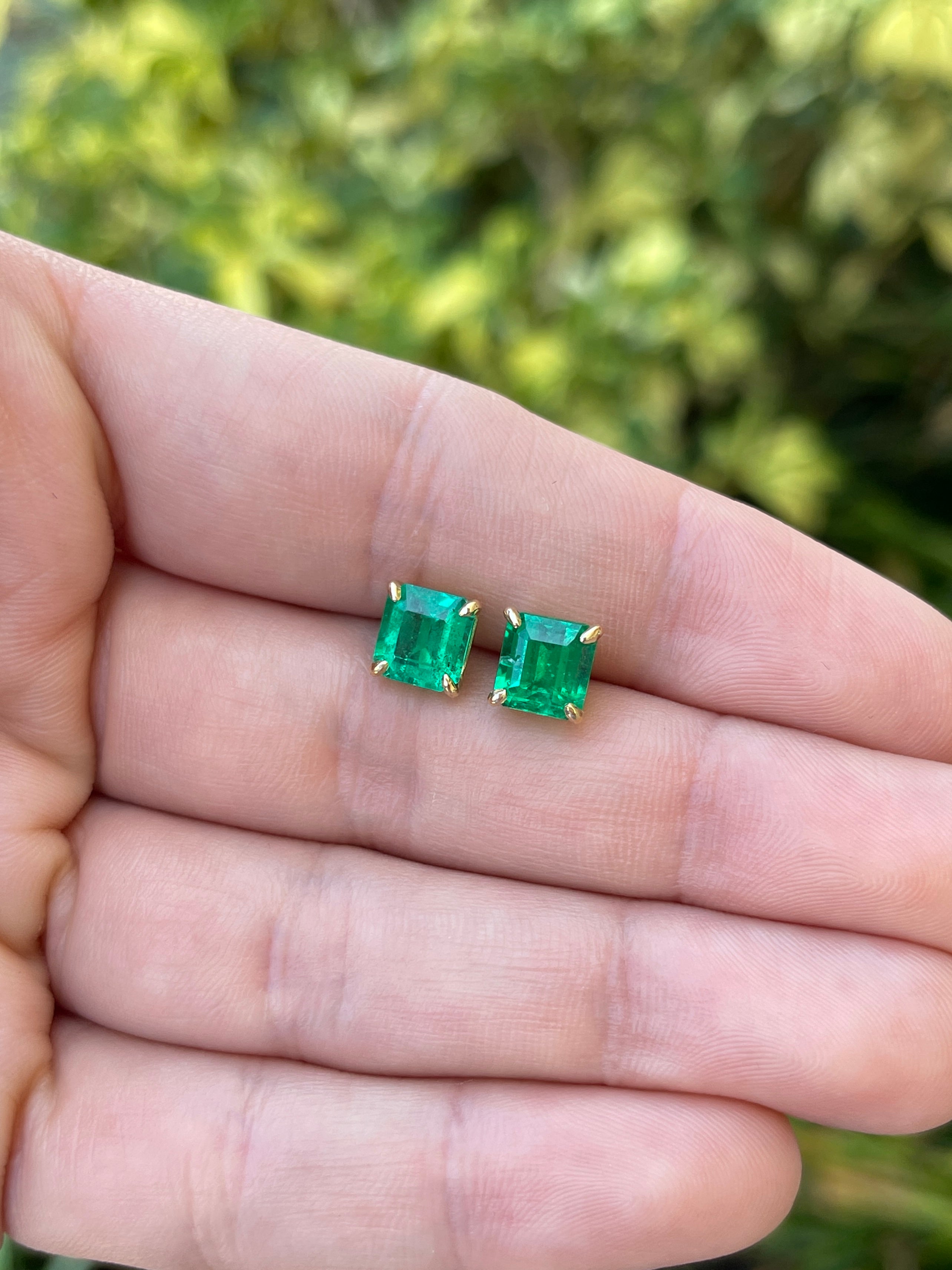 3.18tcw 7x7 AAA+ Muzo Green Asscher Cut Colombian Emerald Stud Earrings in 18K Gold - Perfect for Weddings, Anniversaries & Special Occasions