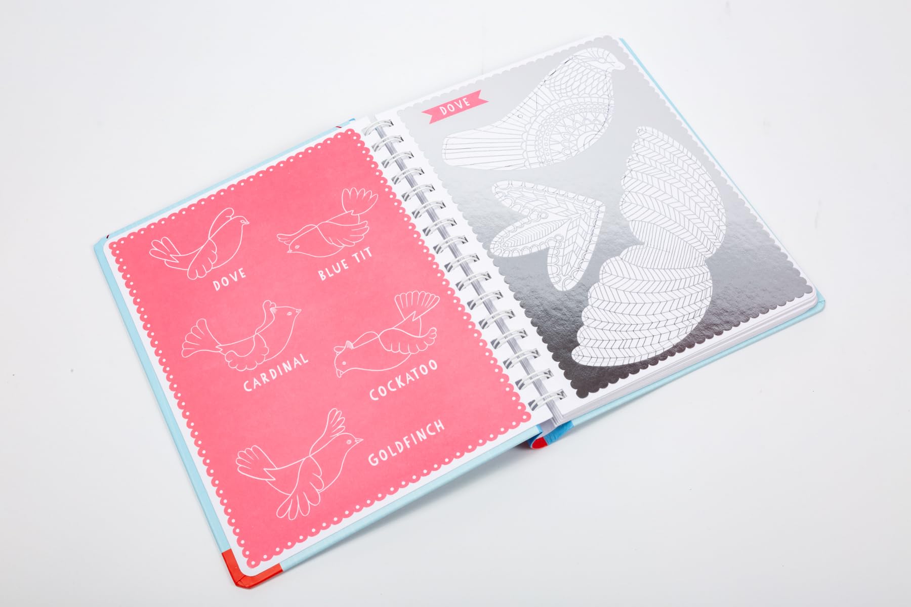 Press Out & Color Birds - DIY Bird Coloring Kit for Kids | Creative Art Activity for Home & Classroom Use