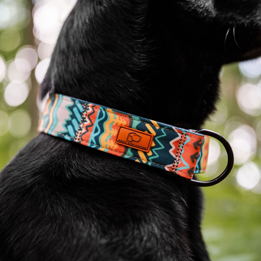 Premium Green Dog Collar with Adjustable Buckle - Durable & Comfortable Pet Accessory for Small, Medium & Large Dogs - Perfect for Walks, Training & Outdoor Adventures