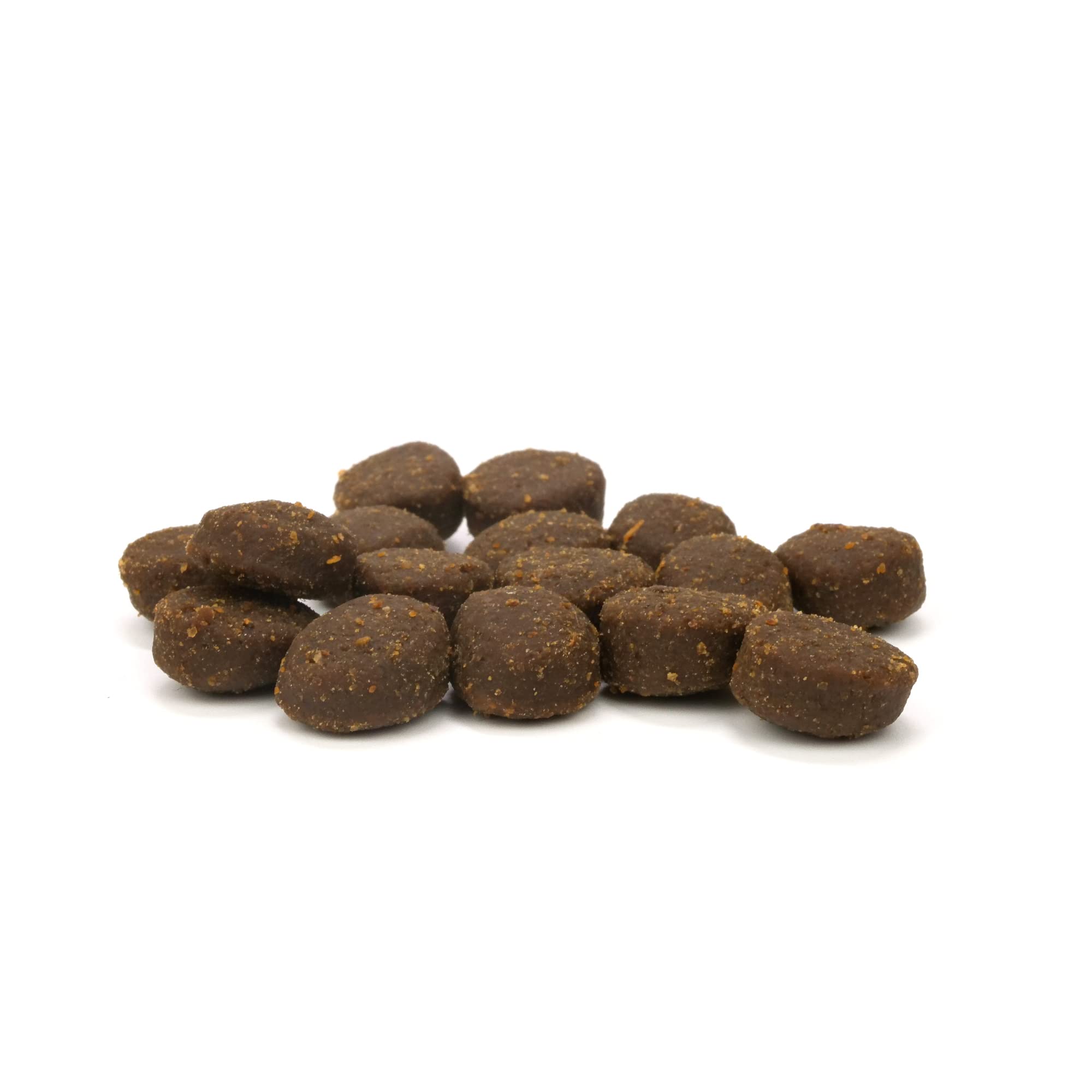 Healthy Breeds Premium Protein Bites for Dogs - Low Fat Beef Dog Treats with Real Meat as First Ingredient - 10oz - Perfect for Training & Rewarding Good Behavior