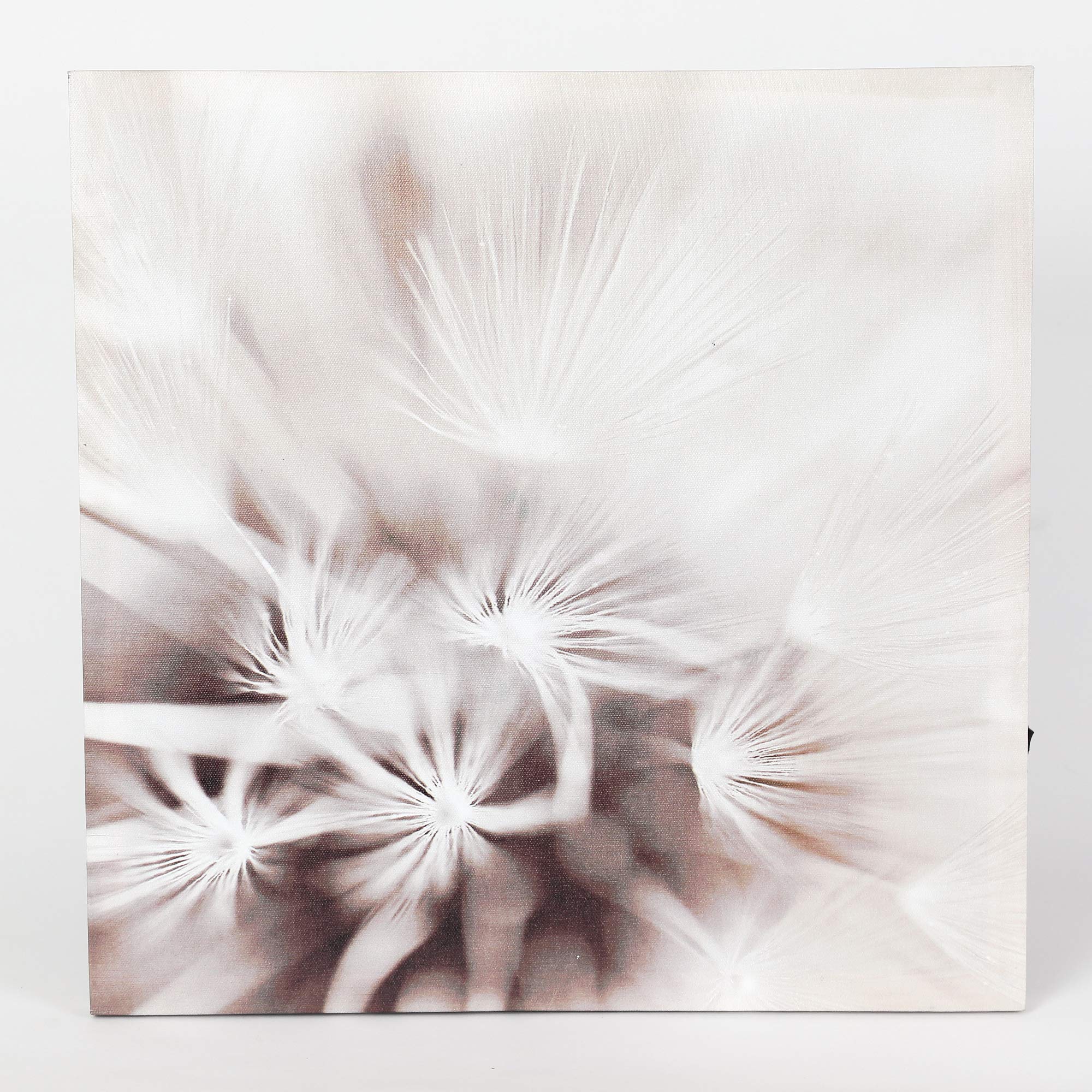 LuxenHome 3-Piece Dandelion Canvas Wall Art - Lighted Botanical Decor for Living Room & Bedroom