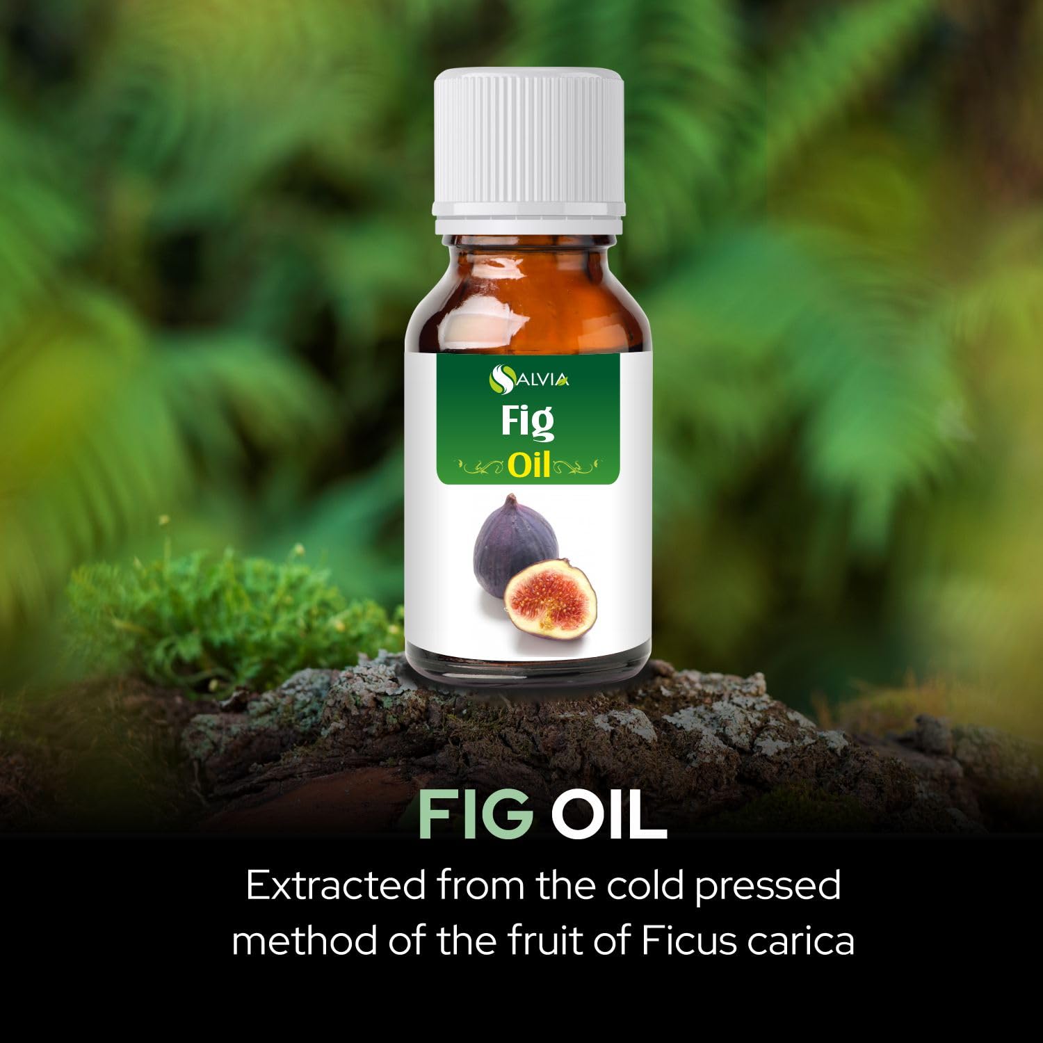 Pure & Natural Salvia Fig Oil for Skin Care, Hair Care & Aromatherapy - 15ml | Hydrating Facial Serum, Scalp Treatment & Relaxing Massage Oil