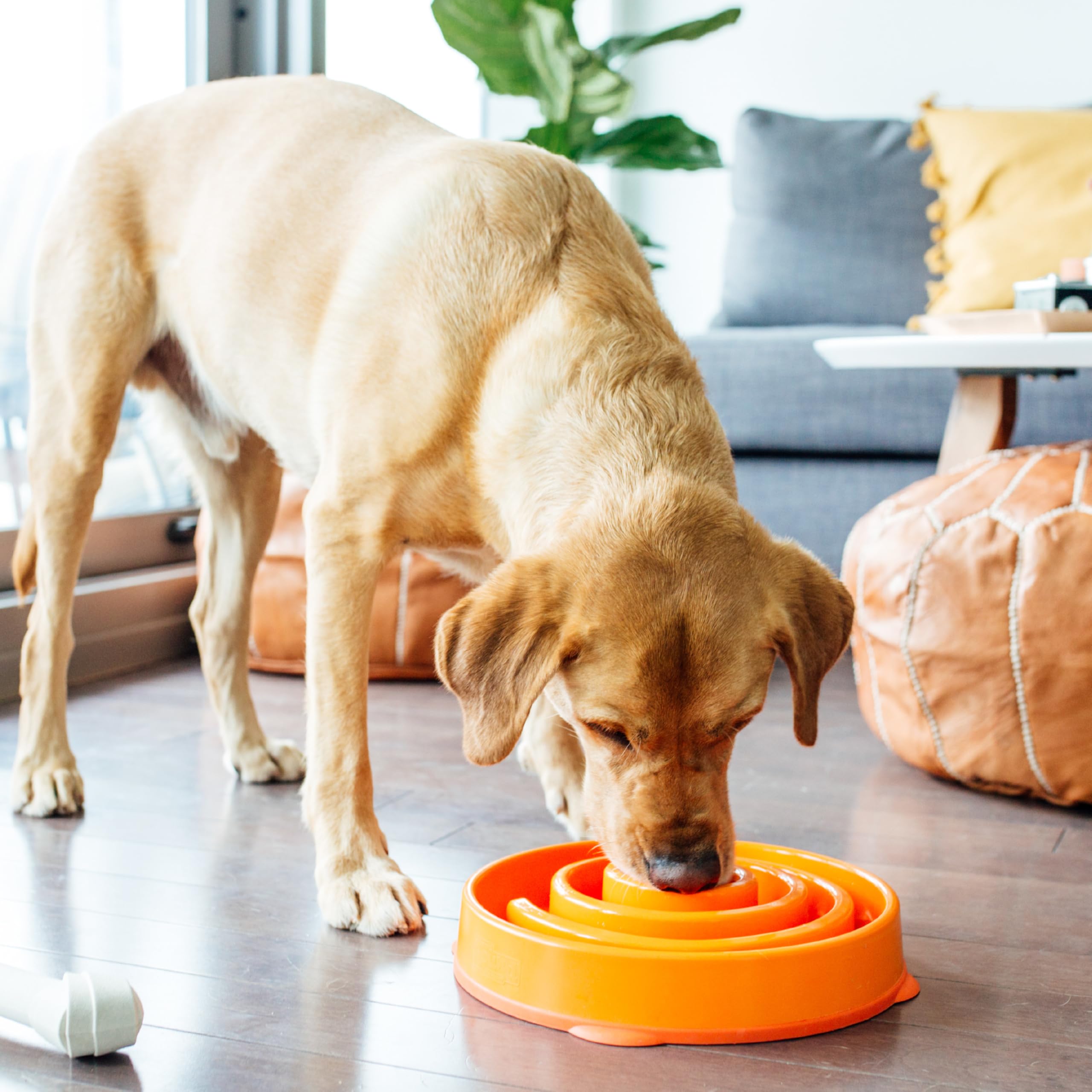 Outward Hound Fun Feeder Slo Bowl - Large Slow Feeder Dog Bowl for Medium & Large Breeds (4 Cups, Orange) - Reduce Fast Eating & Bloat for Dogs - Perfect for Mealtime Enrichment & Puzzle Feeding