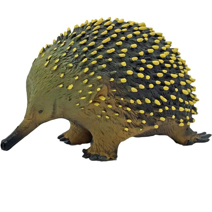 Realistic Australian Animal Figurines Set - Kangaroo, Koala, Wombat & More - Educational Wildlife Toys for Kids Collection | Perfect for Classroom, Playroom & Safari Themed Decor