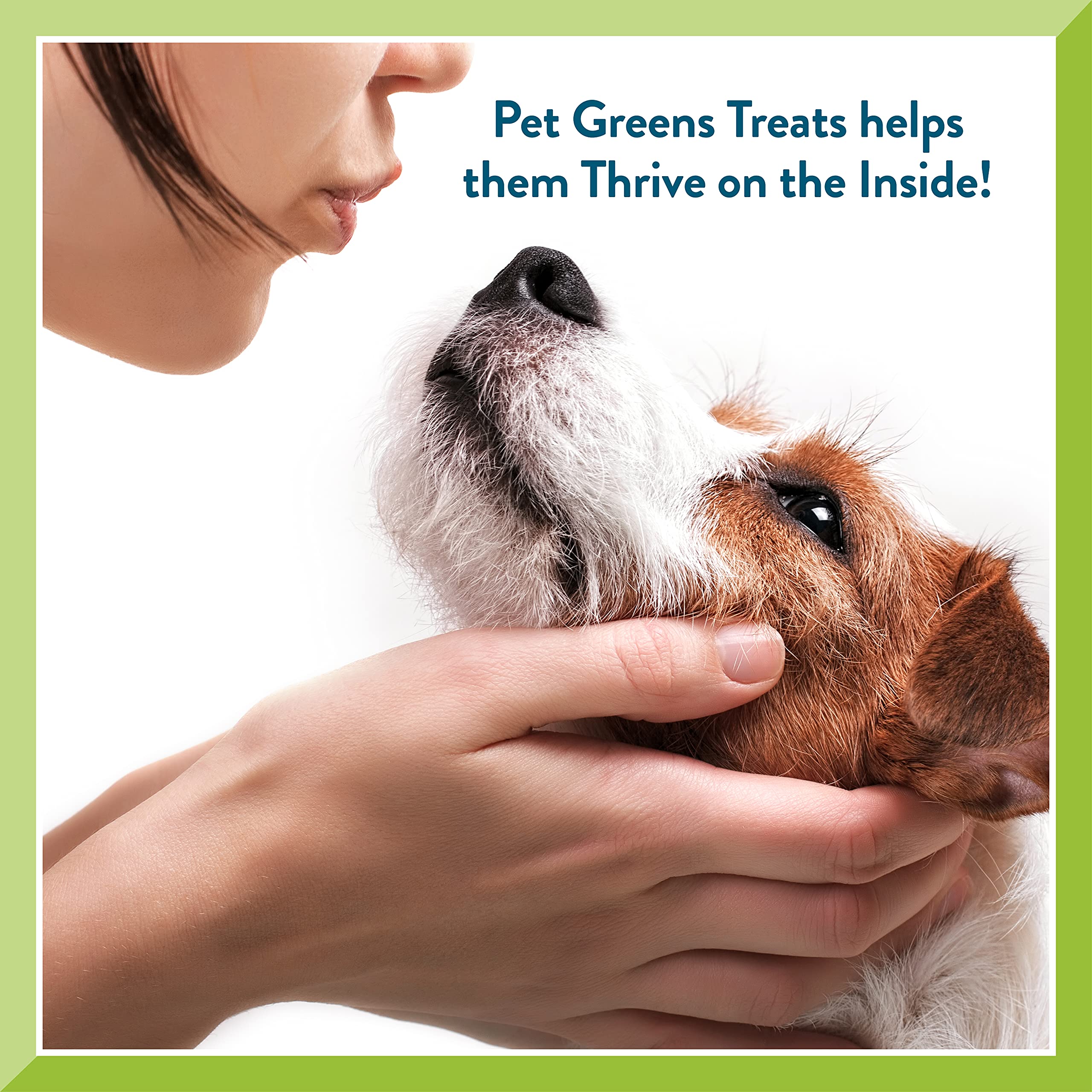 Pet Greens Tasty Lamb Semi-Moist Dog Treats - Natural & Healthy Training Snacks for Small & Large Dogs - Perfect for Reward, Training & Outdoor Adventures