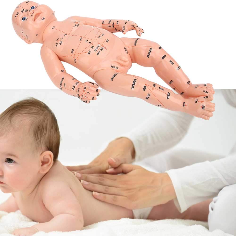 Professional Acupuncture & Massage Training Doll for Kids - Anatomical Model with Meridian Points & Infant Body Acupressure Guide | Perfect for Pediatric Therapy, TCM Education & Reflexology Practice