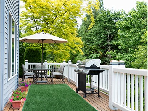 The Green Oasis: A Tale of Transformation