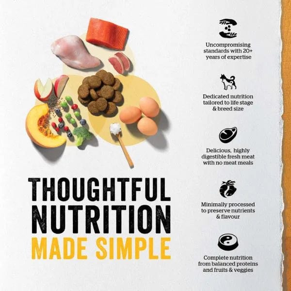 Now Fresh Turkey, Salmon & Duck Recipe Dry Puppy Food - 22lb Bag | Grain-Free High Protein Puppy Kibble for Small & Large Breeds | Perfect for Growing Puppies & Active Dogs