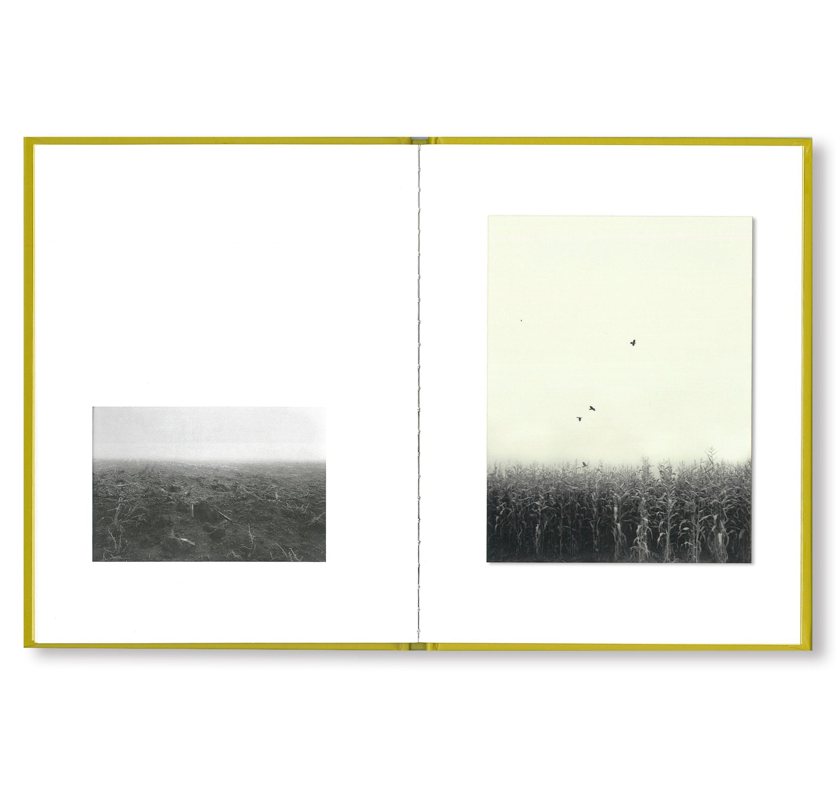 ONE PICTURE BOOK #54: DOCTRINE OF AN AXE by Raymond Meeks - Photography Art Book for Collectors, Perfect for Home Decor & Art Enthusiasts