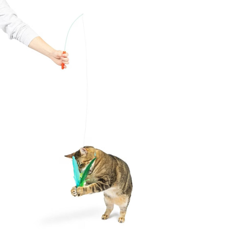 Kitty Klaw Lime Feather Cat Teaser Replacement - Interactive Cat Toy for Play & Exercise - Perfect for Indoor Cats & Kittens