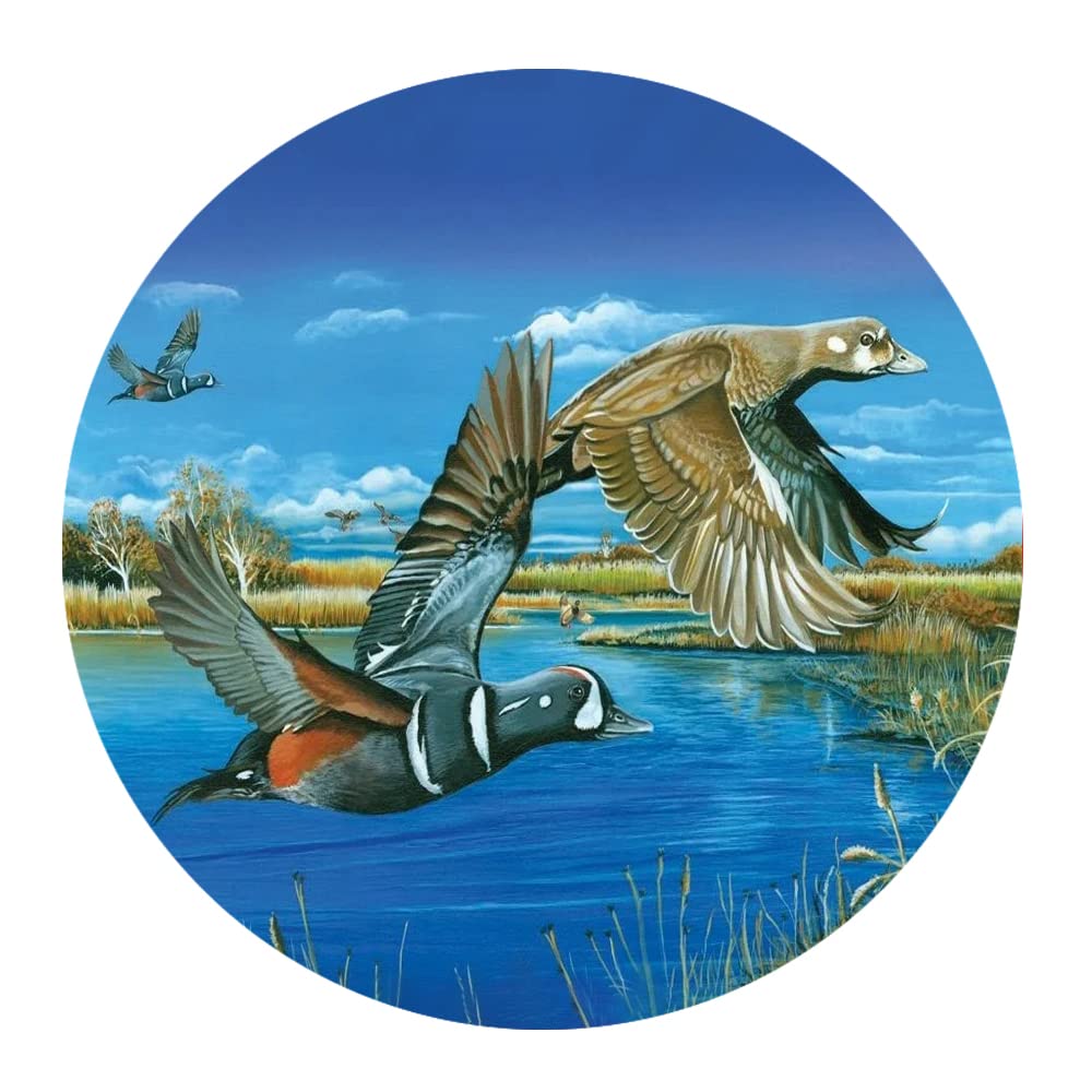 300-Piece Round Wooden Wall Art Puzzle - Animal Series Mallard Poster Puzzle for Adults & Kids, Stress Relief & Educational Toy, Perfect for Family Bonding, Home Decor & Office Relaxation